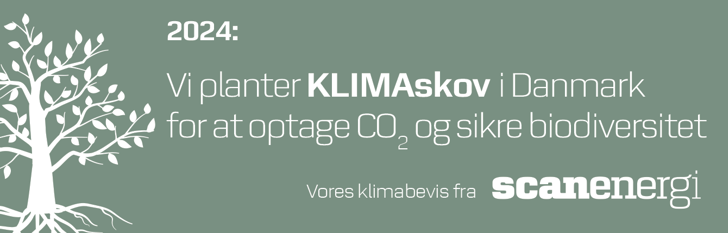 Vi Planter Klimaskov I Danmark