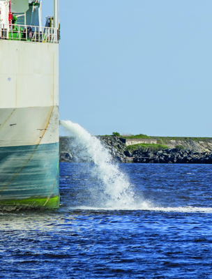 Adobestock 236273121 CMYK