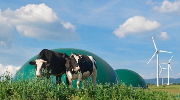 Biogas & Grøn Energi (1)