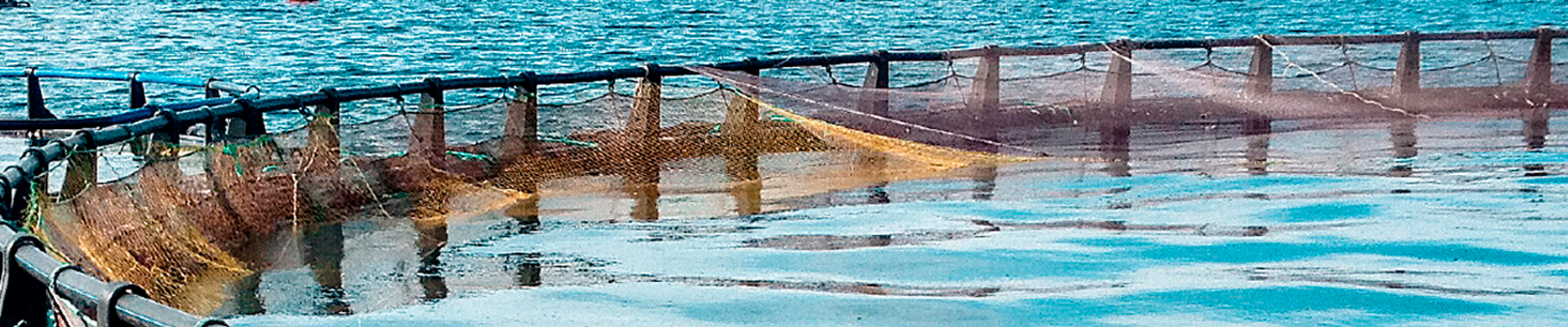 Insatech Oxyguard Sea Cage