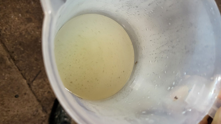 Kondensat Udtag Mælkehvidt Med Små Sorte Partikler