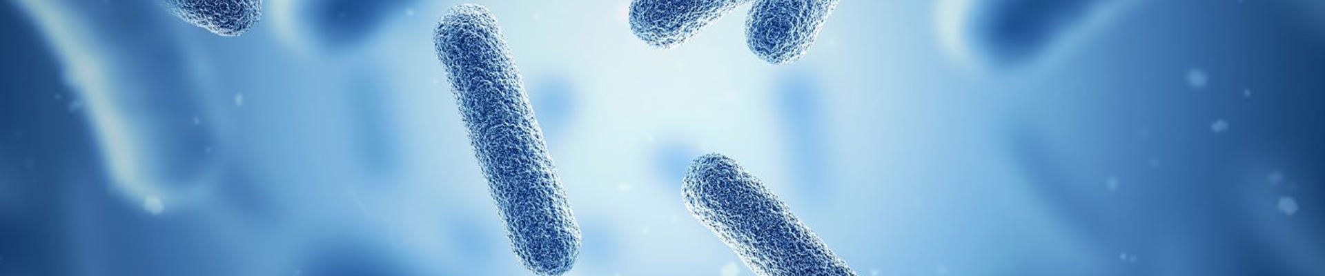 Bioprocessing And Bioreactors Market EN 4