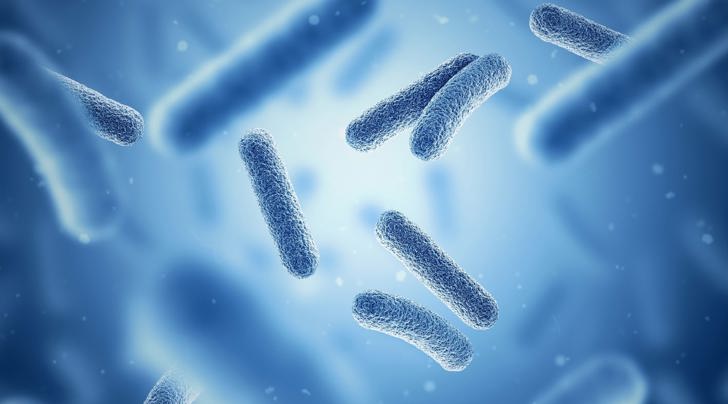 Bioprocessing And Bioreactors Market EN 4