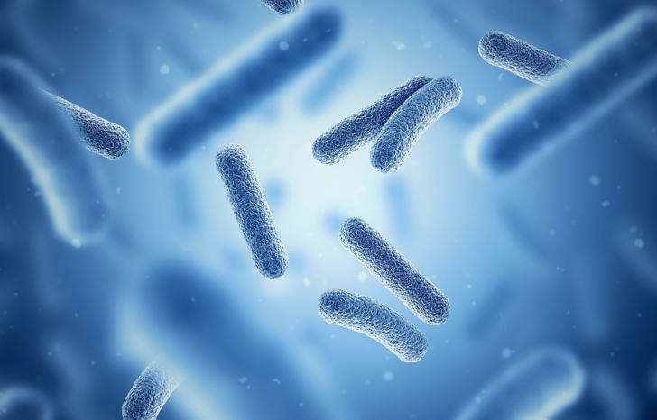 Bioprocessing And Bioreactors Market EN 4