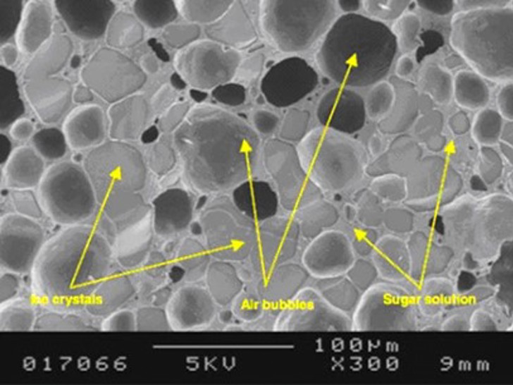 Luftbobler Scanning Electron Microscope