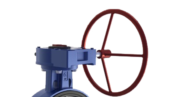 169 Medium Ghibson Butterflygear3