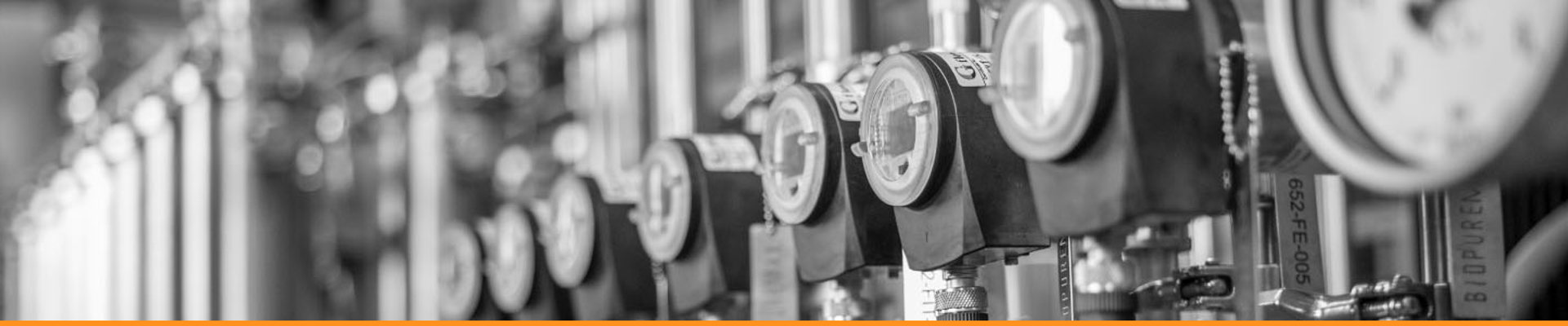 Biopuremax Our Technology